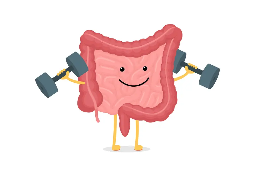 Smiling cartoon intestine character with muscular arms lifting dumbbells